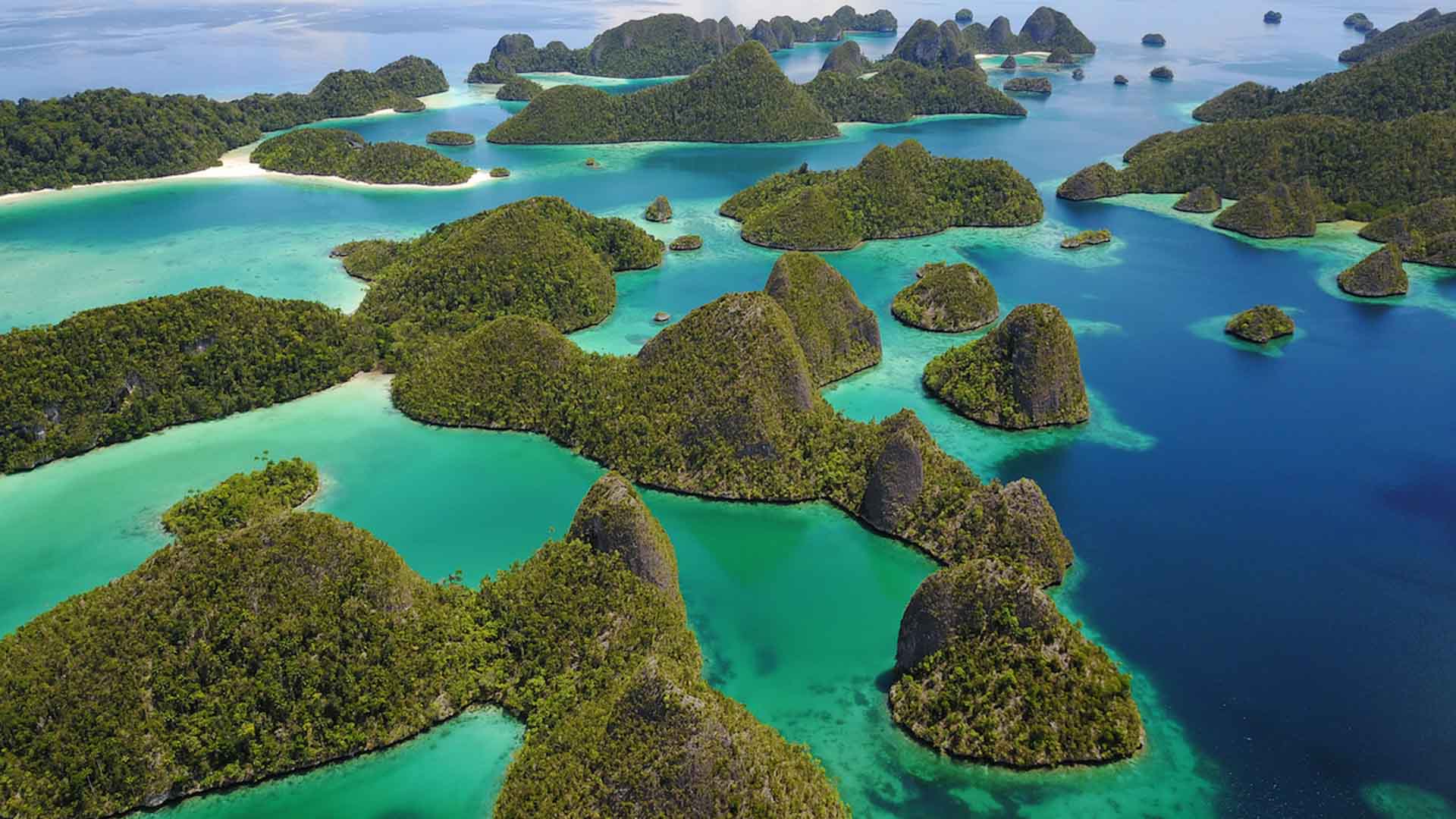 West Papua - Raja Ampat Scuba Diving — Dive Adventures