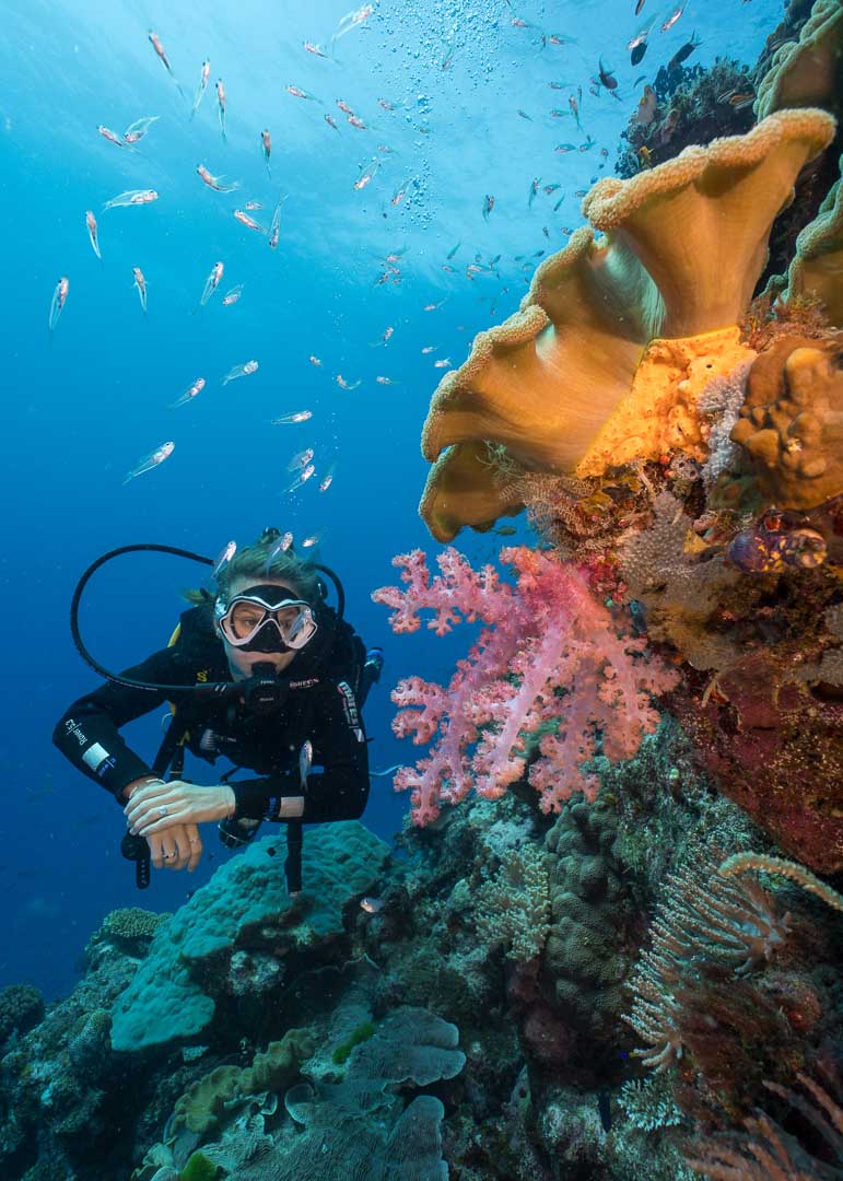 Coral Sea Dreaming — Dive Adventures