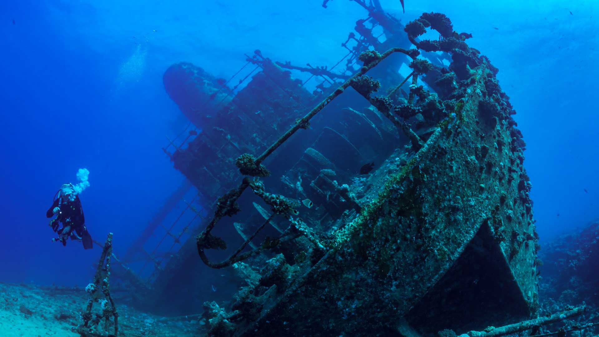 Red Sea Scuba Diving — Dive Adventures