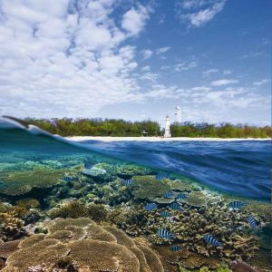 © Lady Elliot Island Eco Resort - Australia Tourism