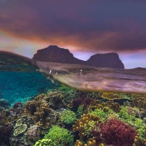 © Lord Howe Island Pro Dive