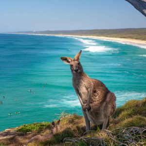 © Tourism Australia - Mark Fitzpatrick