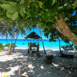 © Pohnpei Surf Club -Mangrove Bay Hotel