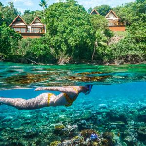 Fiji - Beqa Lagoon - Royal Davui island Resort - Marine Sanctuary