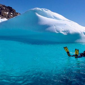 Header - Antarctica - Aurora Expeditions - Snorkeler