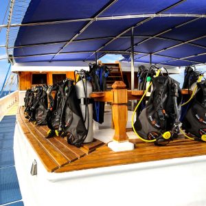 Master Liveaboards - Palau Siren - Dive Deck