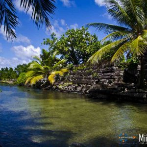 © Pohnpei-Visitors-Bureau-Tim-Rock