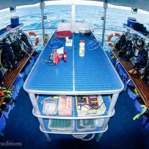 Spoilsport - Dive Deck - Mike Ball Dive Expeditions