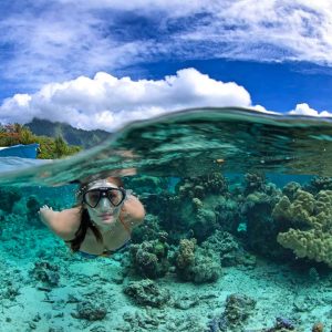 Tahiti - Moorea - Top Dive - -© Frederique Legrand